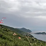 Olivenere Lavagna