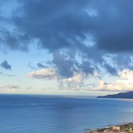 农家乐 Olivenere *