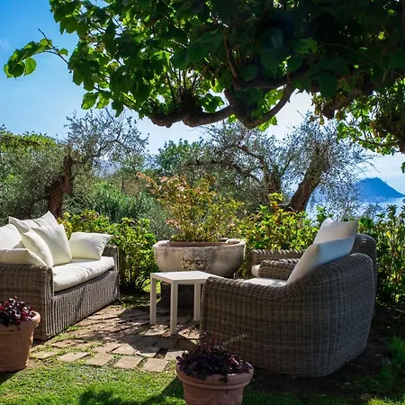 Olivenere 拉瓦尼亚