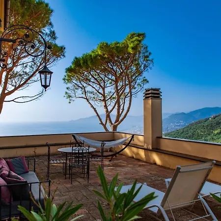 Farm stay Olivenere Lavagna