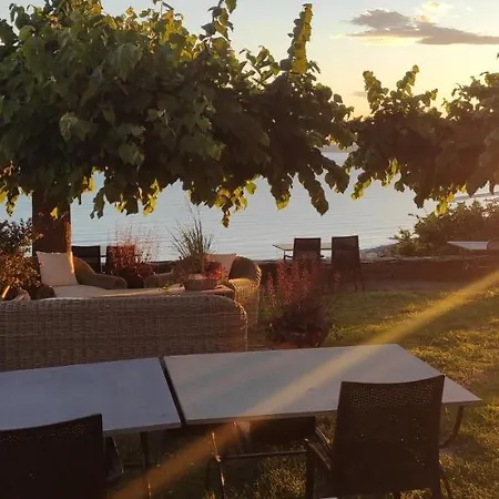 Farm stay Olivenere Lavagna