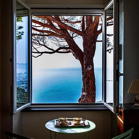 Olivenere Лаванья