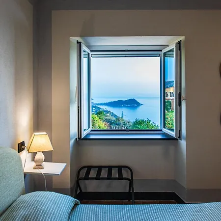 Olivenere * Лаванья