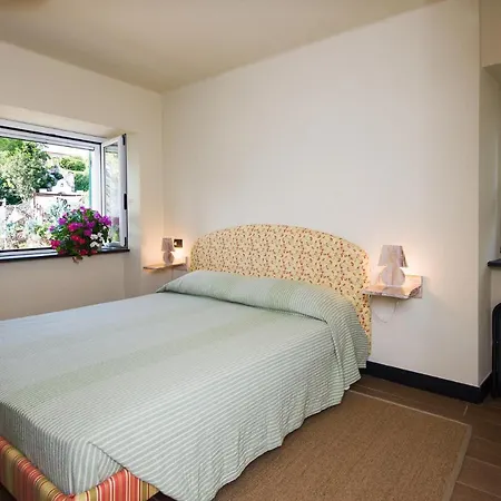 Olivenere * Лаванья