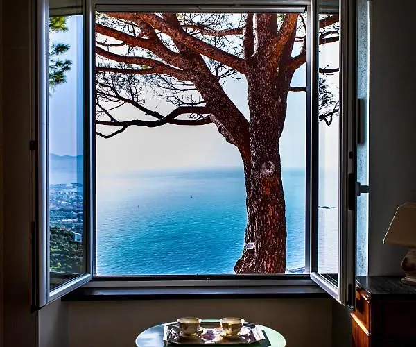 Olivenere לאווניה