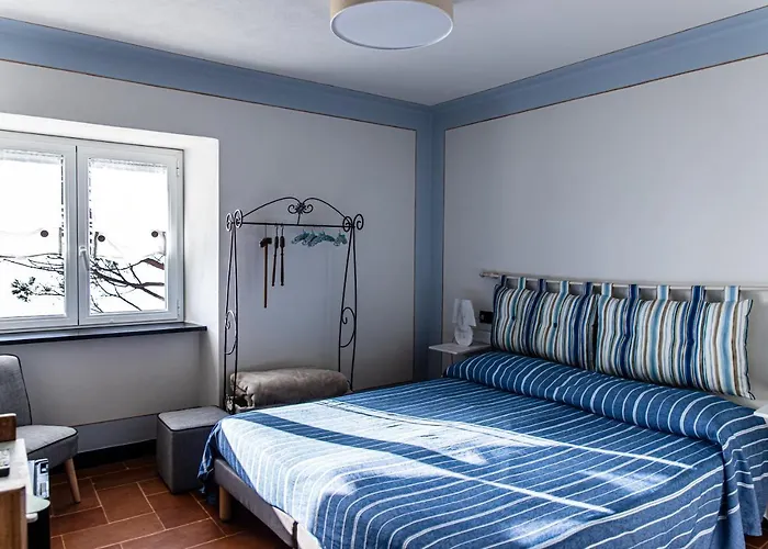 Olivenere * לאווניה