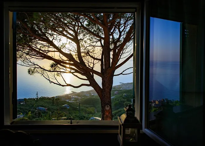 Olivenere בית חווה