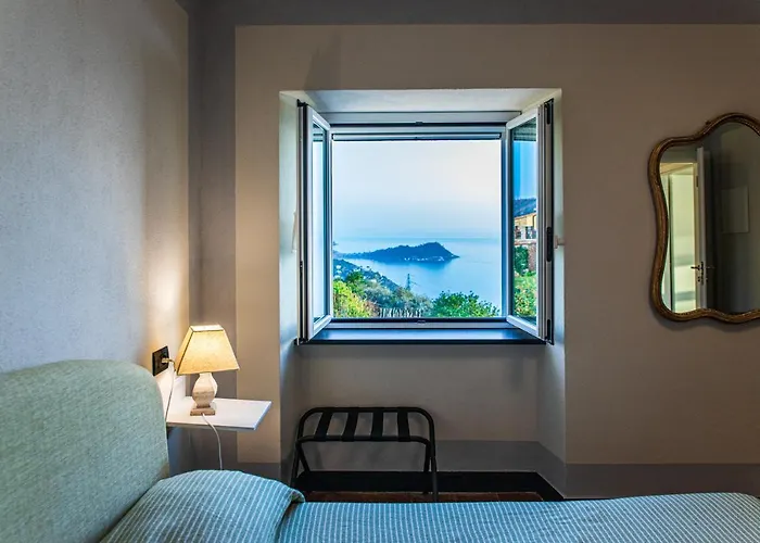 Olivenere * לאווניה