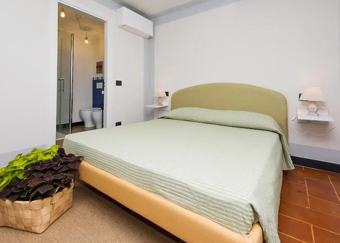 Olivenere * לאווניה